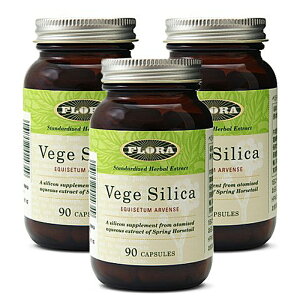Vege Silica xWEVJ 90JvZ 3Zbg n[uTvg FLORA t[