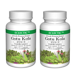 y15PҌz ScR[ FFD 200mg 90JvZ 2Zbg tbVAbvO[hKi n[uTvg ECLECTIC GNNeBbN