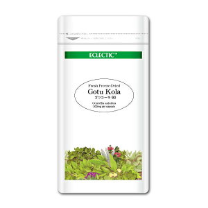 ScR[ FFD 200mg 90JvZ EcopbN tbVAbvO[hKi n[uTvg ECLECTIC GNNeBbN