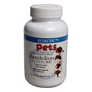 ZCE^|| _fCI FFD 400mg 135JvZ ybgpn[uTvg ECLECTIC for Pets GNNeBbN