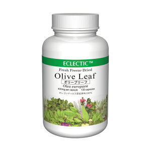 �I���[�u���[�t FFD 400mg 135�J�v�Z�� �t���b�V���A�b�v�O���[�h�K�i �n�[�u�T�v�������g ECLECTIC �G�N���N�e�B�b�N
