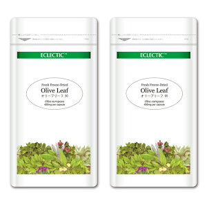 �I���[�u���[�t FFD 400mg 90�J�v�Z�� Eco�p�b�N 2�Z�b�g �t���b�V���A�b�v�O���[�h�K�i �n�[�u�T�v�������g ECLECTIC �G�N���N�e�B�b�N