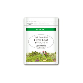 【15％P還元】 オリーブリーフ FFD 400mg 15カプセル Ecoパック フレッシュアップグレード規格 ハーブサプリメント ECLECTIC エクレクティック