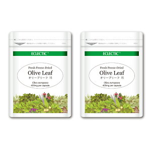 �I���[�u���[�t FFD 400mg 15�J�v�Z�� Eco�p�b�N 2�Z�b�g �t���b�V���A�b�v�O���[�h�K�i �n�[�u�T�v�������g ECLECTIC �G�N���N�e�B�b�N