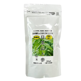 【P10倍】日本山人参粉末 60g 専用スプーン付 国産ヒュウガトウキ乾燥粉末 健康食品茶 イワイ薬局