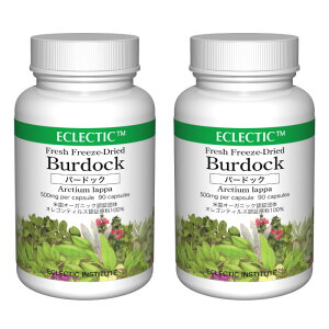 o[hbN S{E FFD 500mg 90JvZ 2Zbg tbVAbvO[hKi n[uTvg ECLECTIC GNNeBbN