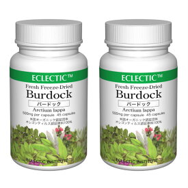 【15％P還元】 バードック ゴボウ FFD 500mg 45カプセル 2個セット フレッシュアップグレード規格 ハーブサプリメント ECLECTIC エクレクティック