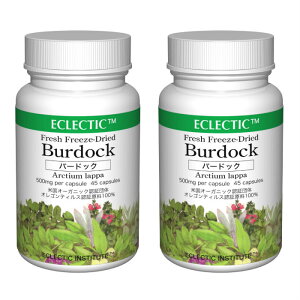 y15PҌz o[hbN S{E FFD 500mg 45JvZ 2Zbg tbVAbvO[hKi n[uTvg ECLECTIC GNNeBbN