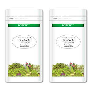 o[hbN S{E FFD 500mg 90JvZ EcopbN 2Zbg tbVAbvO[hKi n[uTvg ECLECTIC GNNeBbN