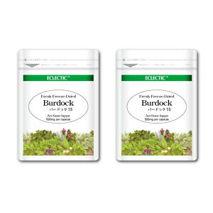 o[hbN S{E FFD 500mg 15JvZ EcopbN 2Zbg tbVAbvO[hKi n[uTvg ECLECTIC GNNeBbN