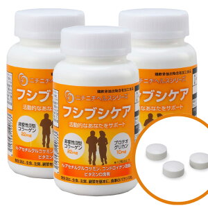【P10倍】フシブシケア 250mg 360粒 3個セット 関節軟骨成分配合サプリメント ニチニチ製薬