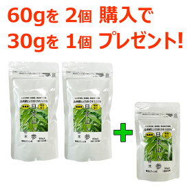 日本山人参粉末 60g 専用スプーン付 2個セット 国産ヒュウガトウキ乾燥粉末 健康食品茶 薬のイワイ