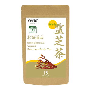 y15PҌz 喽 L@pŒ 2g 15 eB[obO N ACCISFL@HHi kCYL@͔|pŖgp kC