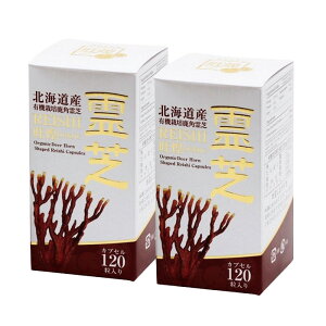 yP10{zpŃJvZ 180mg×120JvZ 2Zbg kCYpŖ100% kCHi@\\xiwV[DojF kC