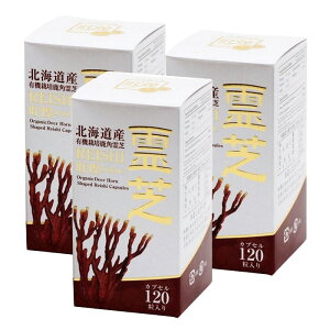 yP10{zpŃJvZ 180mg×120JvZ 3Zbg kCYpŖ100% kCHi@\\xiwV[DojF kC