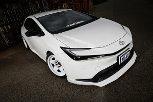 vEX60n@tgX|C[yCLS RMzESB