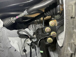 v{bNX [160n] tgAbvXy[T[(40mm)yCLS FOXz