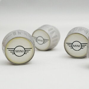 MINI ~j@S GAouLbv zC[ ANZT[