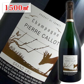 グランクリュ ブラン ド ブラン ブリュット マグナムボトル[N.V]ピエール カロ 1500ml（シャンパン）