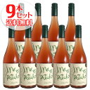 【送料無料】9本セット ノ エス ピトゥコ パイス ロゼ[2023]ヴィーニャ エチェヴェリア（ロゼワイン チリ）