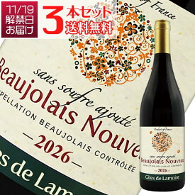 ボジョレーヌーヴォー2025 【送料無料】3本セット ボジョレー ヴィラージュ ヌーヴォー キュヴェ スペシャル[2025]ドメーヌ デ ニュグ（赤ワイン ブルゴーニュ）