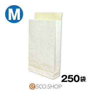 yyzz   MTCY 250 F e[vt 250 B4 c420*260*}`80mmNЉ { z } zp z֗p bagM t} I[NV s