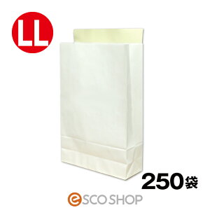 yyzz   LLTCY 250 F e[vt 250 A3 c470*320*}`110mm ЉN { z   } zp z֗p bagLL t} I[NV 