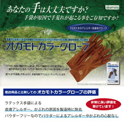 【メール便送料無料】オカモトカラーグローブ10枚セット【6.0インチ/6.5インチ/7.0インチ/7.5インチ/8.0インチ/8.5インチ/左右兼用】
