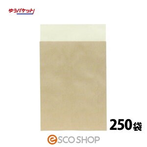 yyz[֗pz 䂤pPbgΉ 250 e[vt 250 n Ntg z } zp z֗p      