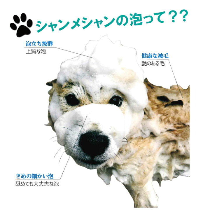 新色追加して再販 無添加 キタガワ シャンメシャン 自然のシャンプー 自然のリンス 選べる250ml×2本セット 泡 ペット用 犬 犬のシャンプー プードル 敏感肌 低刺激 皮膚弱い 天然 discoversvg.com 新色追加して再販 無添加 キタガワ シャンメシャン 自然のシャンプー 自然のリンス 選べる250ml×2本セット 泡 ペット用 犬 犬のシャンプー プードル 敏感肌 低刺激 皮膚弱い 天然 discoversvg.com