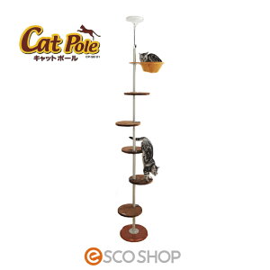 y10OFFzBonbi {rAR Lbg|[ Lbgc[ Lbg^[ ˂ X  ȃXy[X L^[ ˂^[ ybg {r  syyVX[p[S