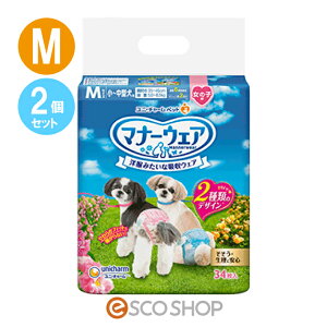 (2Zbg) j`[ }i[EFA ̎qp `^p MTCY sN{E{ 34 }i[pc p 