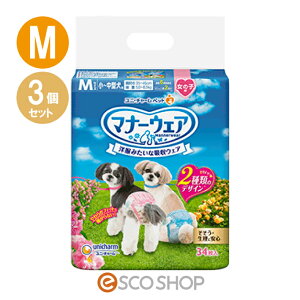 (3Zbg) j`[ }i[EFA ̎qp `^p MTCY sN{E{ 34 }i[pc p 