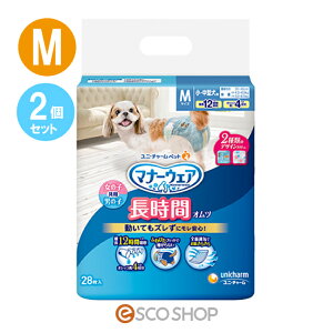 (2Zbg) j`[ybg }i[EFA ybgp Ic ^p MTCY 28 ނ  p p 