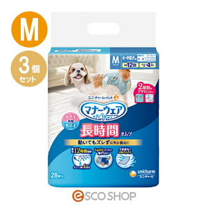 (3Zbg) j`[ybg }i[EFA ybgp Ic ^p MTCY 28 ނ  p p 