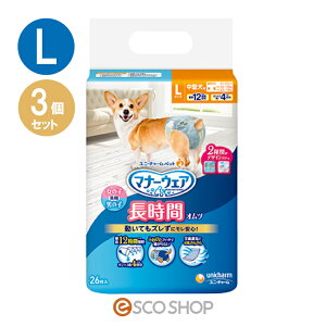 yyz(3Zbg) j`[ybg }i[EFA ybgp Ic ^p LTCY 26  p p 