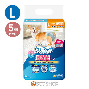 yyz(5Zbg) j`[ybg }i[EFA ybgp Ic ^p LTCY 26  p p 