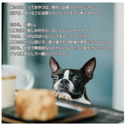 めちゃうまわんこのごほうびおやつ全5種(ドッグフード無添加国産ひとくちカット鶏ささみ天然まぐろえいひれアキレス)(代引不可)(メール便送料無料)