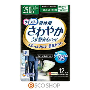 j`[ Ct[ ₩pbh jp Cɏo鎞Sp 12 APA Apbh AR  ÔTΏۏi  [J[ s s