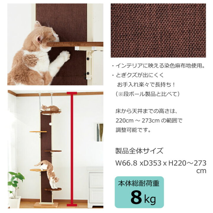楽天市場】Bonbi ボンビアルコン キャットタワー キャットウォーク 