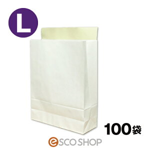 yyz z   LTCY 100 F e[vt 100 c400*320*}`110mm ЉN { z   } zp z֗p bagL t} I[NV s