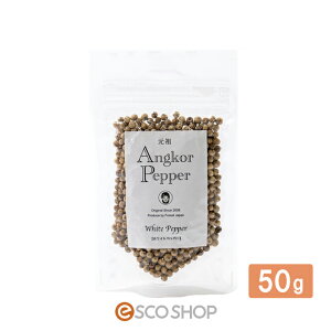 AR[ybp[ zCgybp[ 50g pbN Ӟ RVE 傤 J{WA tFAg[h tHXgWp s [J[ yAR[ybp[̂ݓ