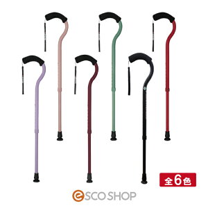 t~SN Lk  S6F x y \tgObv ci  [J[ s s