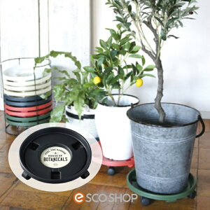 yyzSPICE OF LIFE LX^[tv^[gC ubN K[fjO | SPICE XpCX