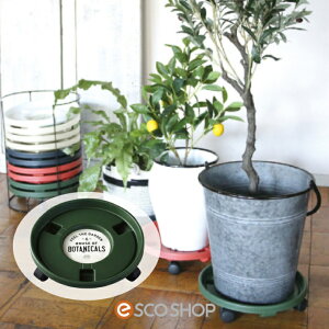 yyzSPICE OF LIFE LX^[tv^[gC O[ K[fjO | SPICE XpCX