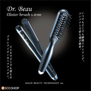Dr.Beau �O���X�^�[�u���V���A�C�����Z�b�g Glister brush&iron USB�w�A�A�C���� �}�C�i�X�C�I�� �X�^�C�����O �u���V �A�C���� (��������)