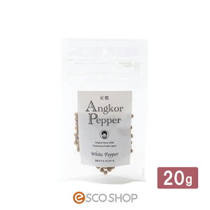 AR[ybp[ zCgybp[ 20g pbN Ӟ RVE 傤 J{WA tFAg[h tHXgWp s [J[ yAR[ybp[̂ݓ