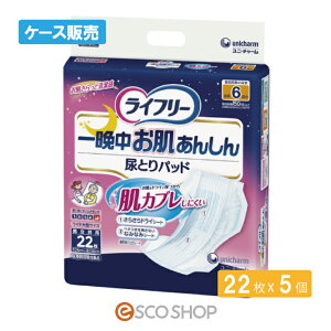 (P[X̔)j`[ Ct[ Ӓ񂵂AƂpbh p 6 22×5 jp APA AR ÔTΏەi  [J[ s s