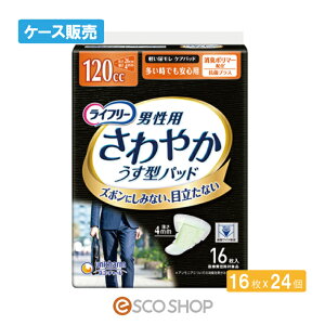 (P[X̔)j`[ Ct[ ₩pbh jp Sp 16×24 APA Apbh AR  ÔTΏۏi  [J[ s s