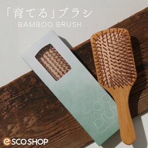 �y�����y�z�o���u�[�u���V BAMBOO BRUSH �g���R�C���_�X�g���[�Y �| �c���� �V�R�f�� �Ód�C �c�{���� �̒��s�� ���P (��������)